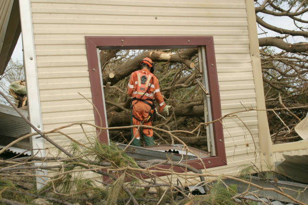 Best Emergency Tree Removal  in Amsterdam, NY